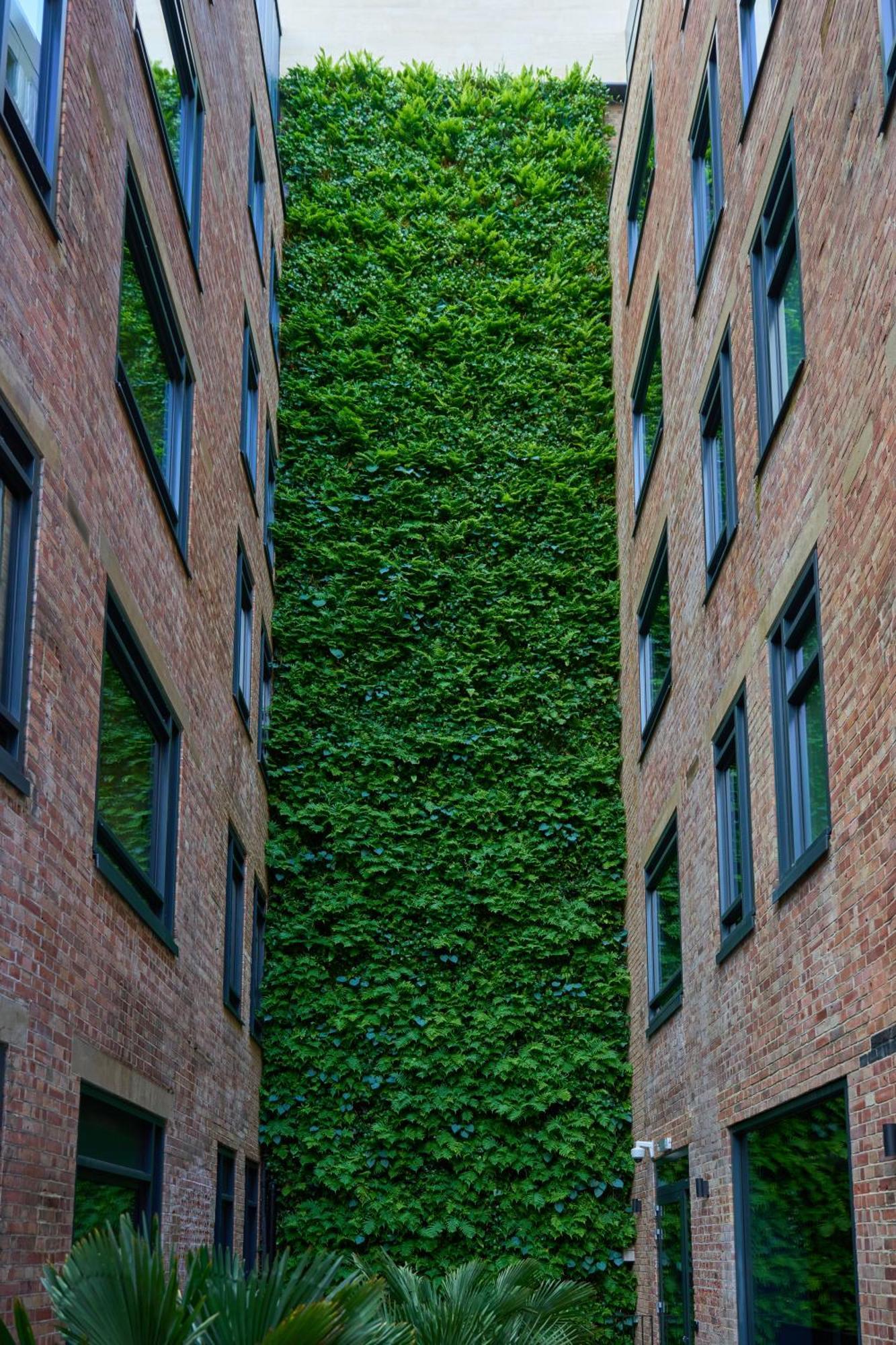 The Store Oxford Eksteriør billede